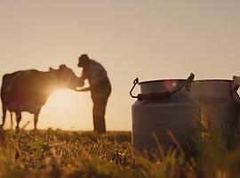 Asturias impulsa al sector lácteo: 217.000 euros para modernizar y asesorar a 873 ganaderías