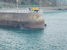 Asturias acelera las obras para tapar cavernas y reforzar la seguridad en los puertos de Castropol y L.luarca/Luarca