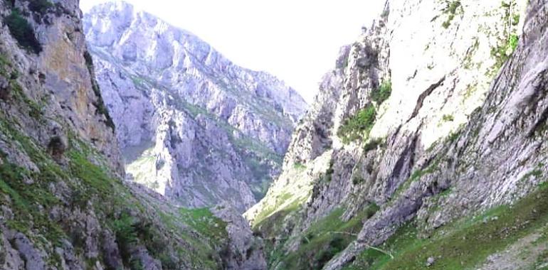 Tragedia en Cabrales: una mujer de 44 años muere al caer con su perro al vacío en la Canal del Texu