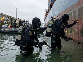 Interceptado un alijo de 7 kilos de cocaína valorado en más de 90.000 euros en el puerto de Avilés