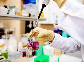 Asturias se asegura el futuro científico: casi tres millones para atraer y retener talento de élite