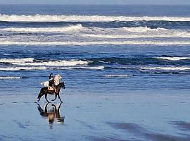 Salinas, el lugar donde la vida se parece a lo que uno imaginaba