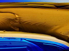 Premios de la 9ª edición del certamen de fotografía científica FOTCIENCIA