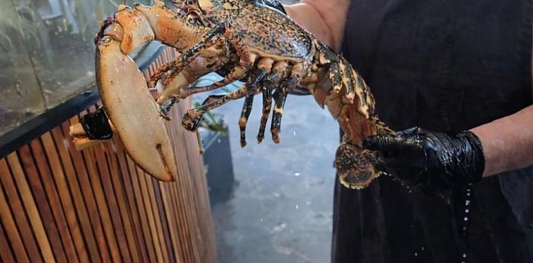 Las Conchas, el restaurante de Salinas donde el Cantábrico se come a cucharadas