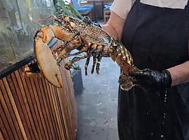 Las Conchas, el restaurante de Salinas donde el Cantábrico se come a cucharadas