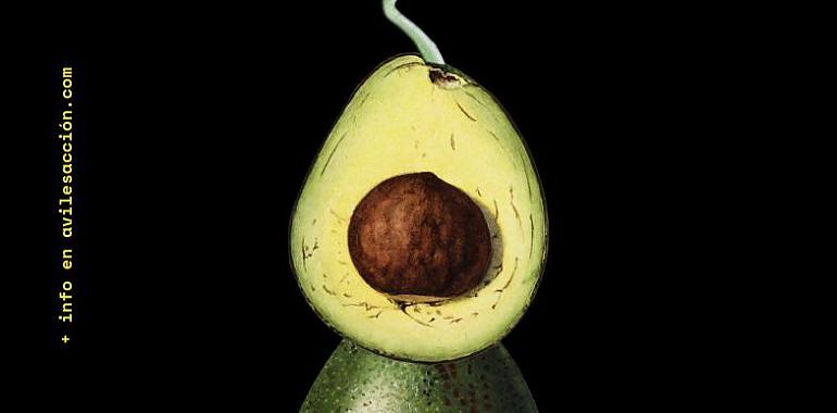 Avilés Acción cumple 25 años y se refuerza como referente del cortometraje nacional con una nueva sección de animación