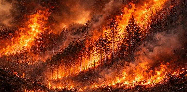 Asturias resiste al fuego: 33 incendios en una jornada crítica marcada por el viento y el calor anómalo