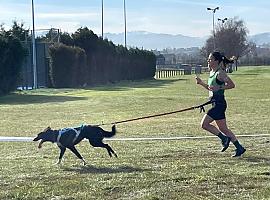 La Morgal se llena de perros, bicicletas y adrenalina: así fue la espectacular Copa de Asturias de Mushing 2026