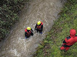 Asturias contiene la respiración: segundo día de búsqueda de la mujer que cayó al río en San Martín del Rey Aurelio