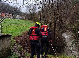 Segundo día sin rastro de María Teresa: el gran operativo en el Nalón continúa tras una búsqueda infructuosa