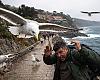 Llanes planta cara a las gaviotas: del paseo marítimo a los tejados… y ahora también a los ataques