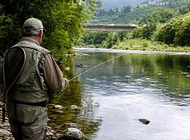 Asturias mira al río… y el río no responde: el campanu no aparece y dispara todas las alarmas