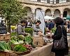 Raíces se convierte en el gran escaparate ecológico de Asturias: vuelve el mercado que conecta campo, tradición y consumo consciente