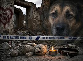 Horror junto a los Pericones: hallan muerto a un perro con una decena de puñaladas en una casa derruida de Gijón
