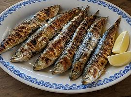 Recetas de una abuela asturiana: Sardines a la plancha (el sabor del verano, aunque la cocina quede oliendo a puerto)