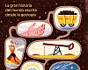 Con los pies en la tierra: La historia de la humanidad contada desde el subsuelo