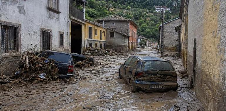 La riada golpea el suroccidente asturiano: viviendas anegadas, animales muertos y vehículos arrastrados