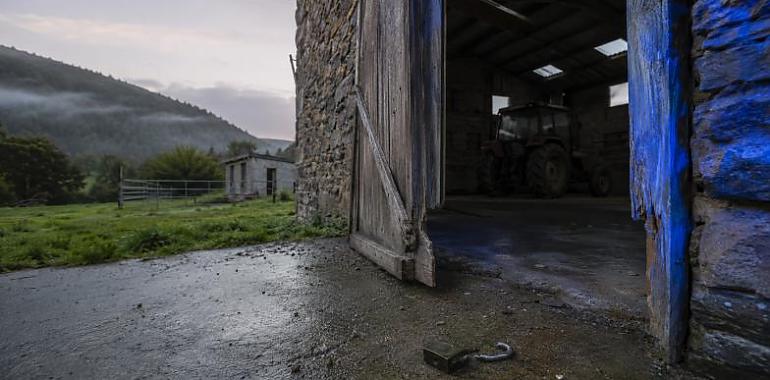Asturias, única comunidad donde aumentan los robos en el campo: 71 denuncias y solo nueve casos esclarecidos