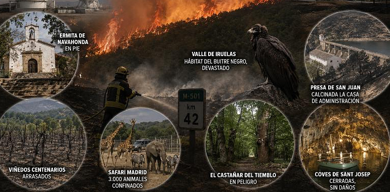 El fuego que llegó hasta el espacio: antenas planetarias, buitres negros y viñedos centenarios entre las víctimas de los incendios