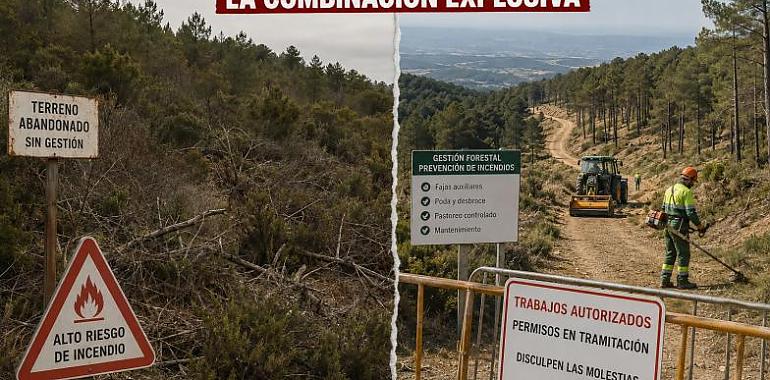 Ni Agenda 2030 ni monte intocable: la verdadera pólvora de los incendios es el abandono rural