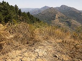 Asturias entra en riesgo extremo de incendio: tres concejos en nivel máximo y hasta 37 grados en Cangas