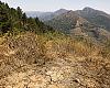 Asturias entra en riesgo extremo de incendio: tres concejos en nivel máximo y hasta 37 grados en Cangas