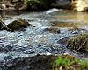 El proyecto tecnológico de Salas abre el debate sobre el consumo de agua en Asturias