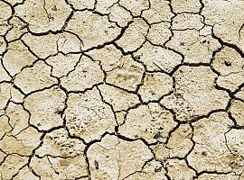 Asturias mantiene una posición privilegiada frente al avance de la desertificación, pero el cambio climático obliga a no bajar la guardia