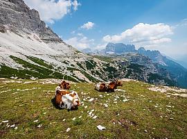Asturias Ganadera reclama soluciones ante la falta de agua en los montes