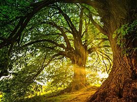 Asturias encara la última semana de agosto con el turismo de naturaleza como uno de sus grandes atractivos