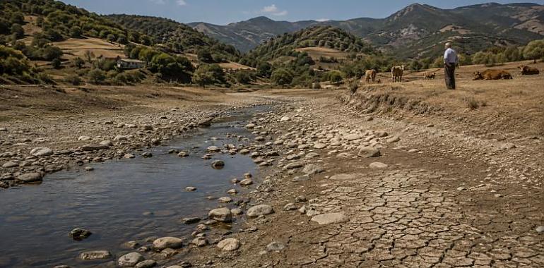 Asturias se queda sin agua: los ríos se desploman, el campo pide cisternas y dos zonas entran en prealerta