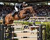 El mejor Hípico de Gijón de su historia arranca mañana: 220 caballos, estrellas mundiales y seis días para llenar Las Mestas