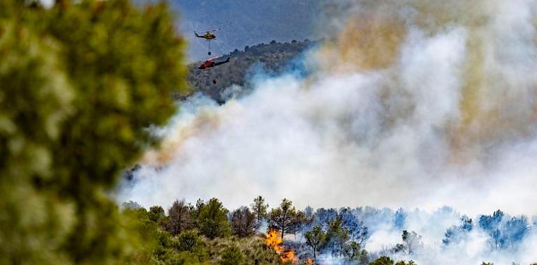 Alerta en Asturias: once concejos alcanzan hoy un riesgo «muy alto» de incendio forestal