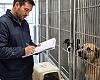 Oviedo deja desierto el contrato del albergue de animales tras excluir a Athinsa por incumplir requisitos de formación