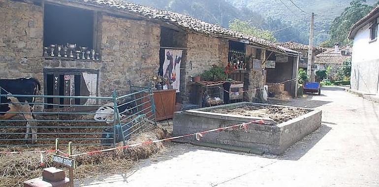 Un asesinato sin respuesta: un año después nadie ha pagado por la muerte a golpes de Toño Otero en Cueves