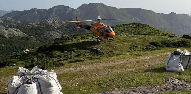 Un helicóptero para alimentar a los mastines que protegen los rebaños en Picos de Europa