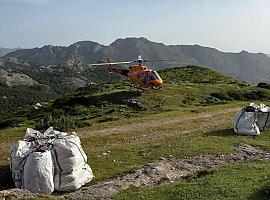 Un helicóptero para alimentar a los mastines que protegen los rebaños en Picos de Europa