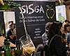 Asturias se convierte esta semana en la capital mundial de la sidra: más de 300 elaboraciones de 35 países aterrizan en el SISGA