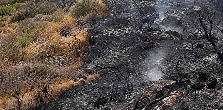 Caso sigue ardiendo en el mapa: dos días de fuego, 155 hectáreas bajo sospecha y una brigada estatal sobre el terreno
