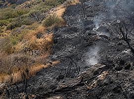 Caso sigue ardiendo en el mapa: dos días de fuego, 155 hectáreas bajo sospecha y una brigada estatal sobre el terreno
