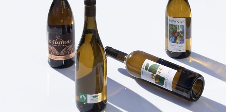 La DOP Sidra de Asturias quiere cambiar las cartas de los restaurantes: nace un “Oro” para los locales que apuesten por sidras de copa
