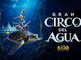 El agua se convierte en pista de circo: Madrid estrena un espectáculo inmersivo para toda la familia desde 12 euros