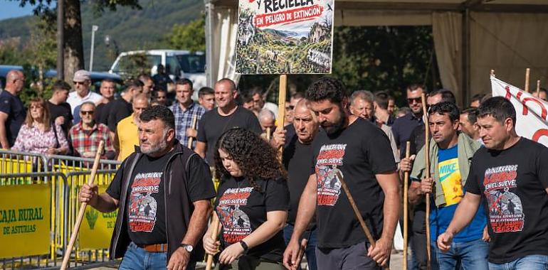 El Sueve se rebela contra el lobo: los ganaderos toman las calles de Infiesto y anuncian nuevas protestas en Arriondas