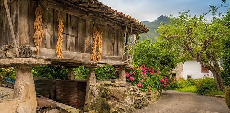 Asturias sale al rescate de sus hórreos: 400.000 euros para salvar 102 joyas rurales y evitar que desaparezca una parte de nuestra historia