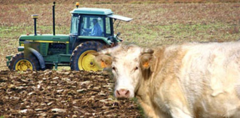 El nivel de endeudamiento del sector supera por cuarto año consecutivo a la renta agraria