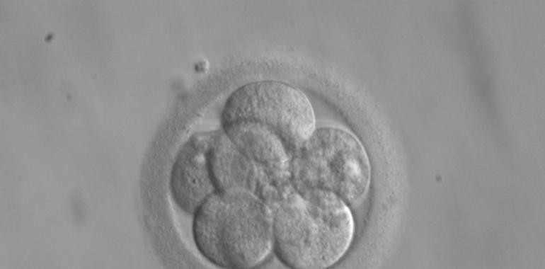 El Ministerio propone la especialidad de Genética y Embriología Clínica tras la solicitud planteada por ASEBIR