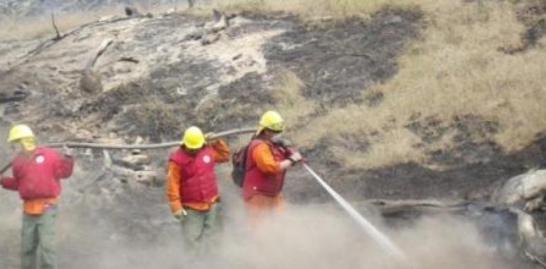 Se mantiene activo incendio en sector Pichiqueime, Región del Biobío 