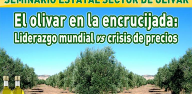 El olivar en la encrucijada