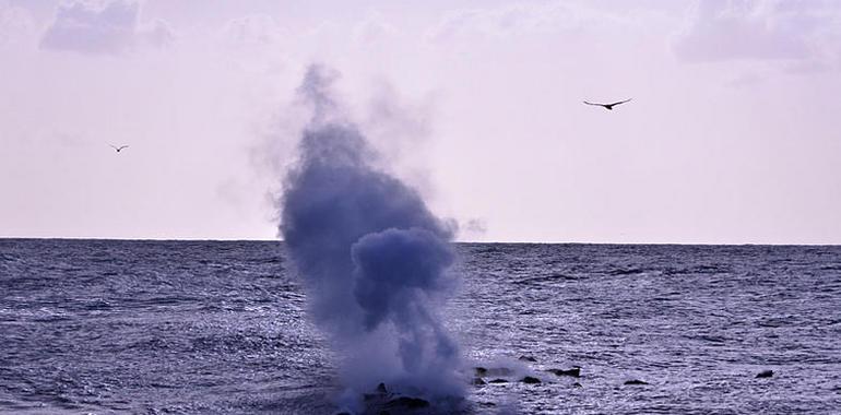 La cima del volcán submarino de El Hierro está ya a 130 metros de profundidad