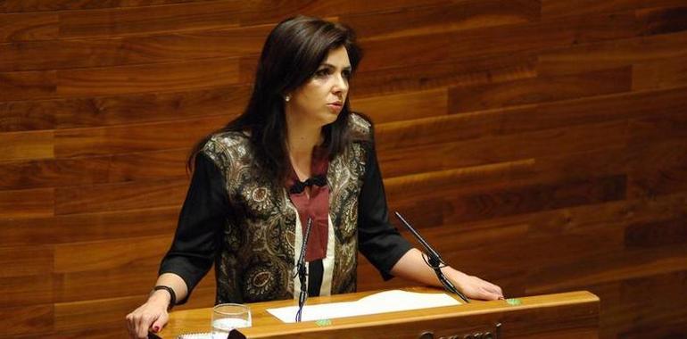 Lilián Fernández: “El presupuesto consigue la inversión pública productiva más alta del Estado”